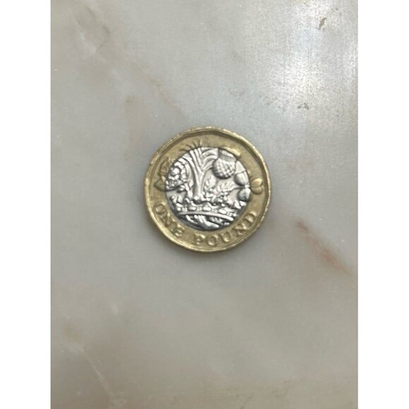 1 Pound 2017 Coins- SET OF 2 - Picture 3 of 5